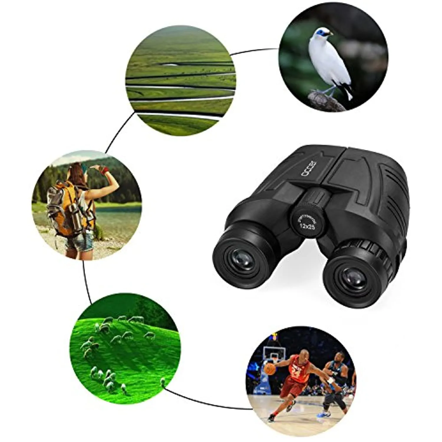 12x25 Compact Binoculars with Clear Low Light Vision