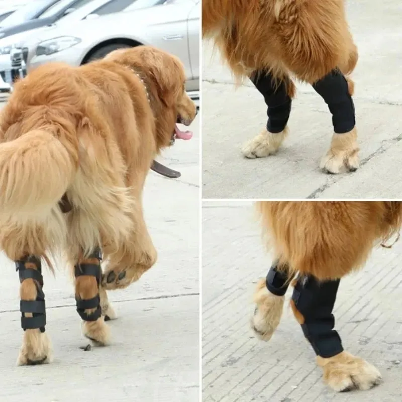 AnniePaw Dog Bandages - Knee Brace Strap for Leg Support