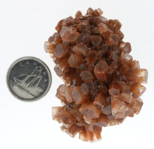 Aragonite Sputnik Cluster