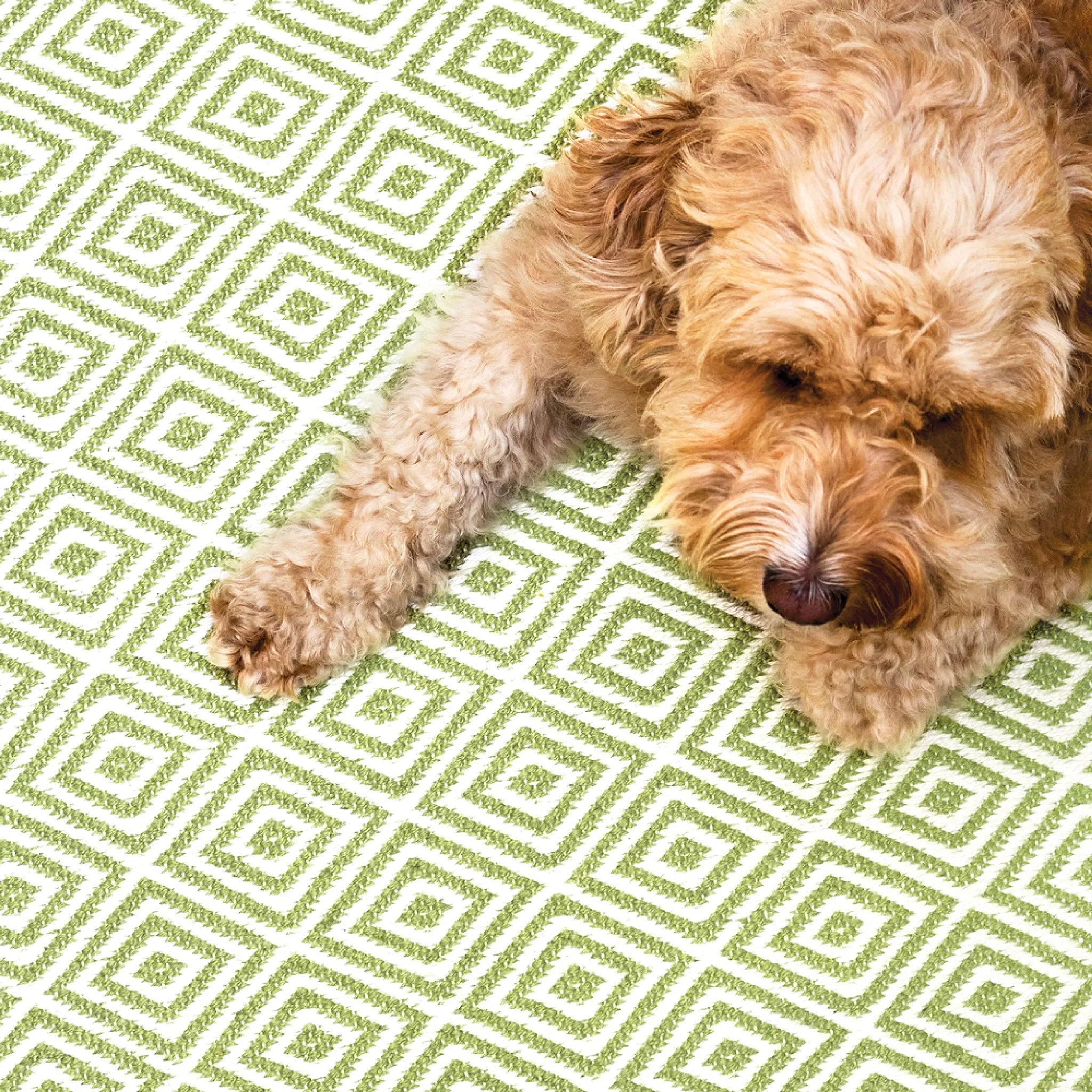 Diamond Washable Rug Green