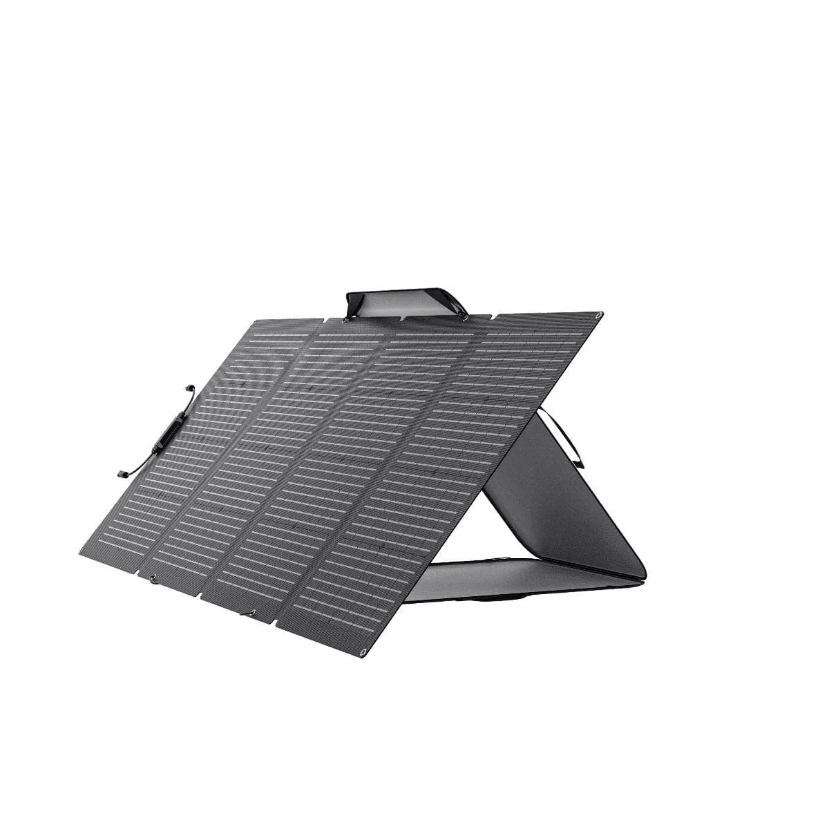 EcoFlow 220W Bifacial Solar Panel (Recommended Accessory)