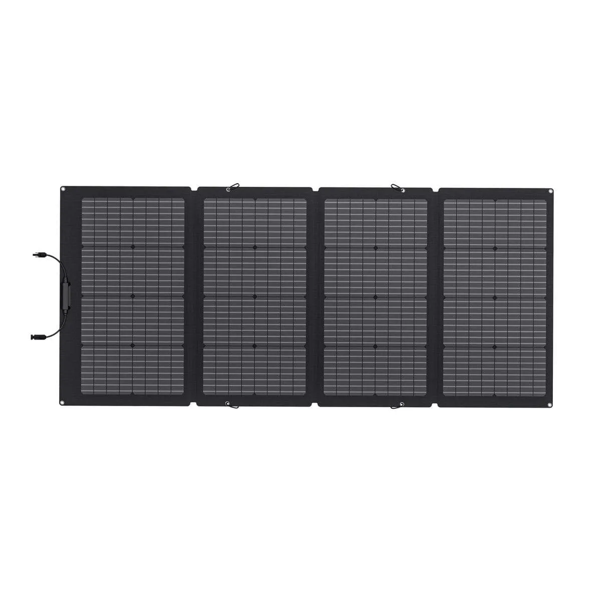 EcoFlow 220W Bifacial Solar Panel (Recommended Accessory)