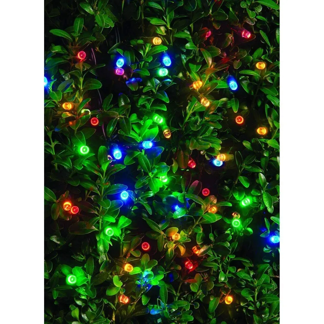 Multicoloured LED String Outdoor Lights