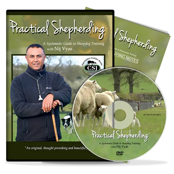 Practical Shepherding DVD by Nij Vyas